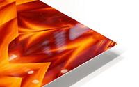 Fire Flowers 238 HD Metal print