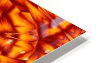 Fire Flowers 239 HD Metal print