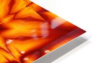 Fire Flowers 240 HD Metal print