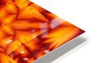 Fire Flowers 242 HD Metal print