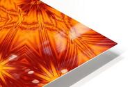 Fire Flowers 274 HD Metal print
