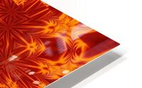 Fire Flowers 278 HD Metal print