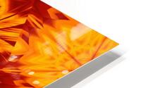 Fire Flowers 288 HD Metal print