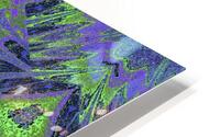 Sophornitella 13 HD Metal print