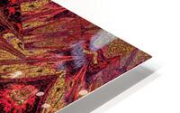 Sophornitella 21 HD Metal print