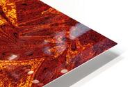 Sophornitella 84 HD Metal print