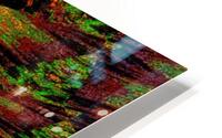 Inner Butterfly HD Metal print
