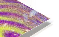 Disco Butterfly 6 HD Metal print