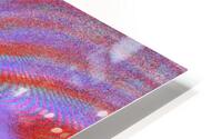 Disco Butterfly 8 HD Metal print