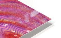 Disco Butterfly 9 HD Metal print