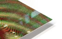 Disco Butterfly 13 HD Metal print