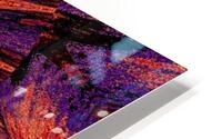 Sun In Sunshine HD Metal print