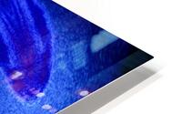 Blue Feathers HD Metal print