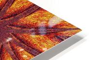 Desert Sunshine 10 HD Metal print
