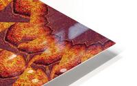 Desert Sunshine 25 HD Metal print