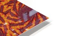 Desert Sunshine 32 HD Metal print