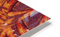 Desert Sunshine 61 HD Metal print