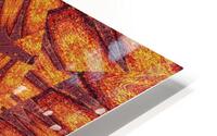Desert Sunshine 72 HD Metal print