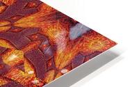 Desert Sunshine 80 HD Metal print