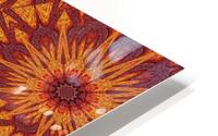 Desert Sunshine 94 HD Metal print