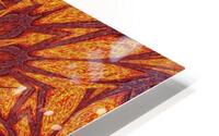 Desert Sunshine 95 HD Metal print