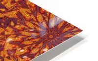 Desert Sunshine 107 HD Metal print