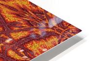 Desert Sunshine 260 HD Metal print