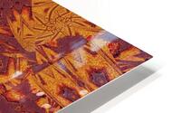 Desert Sunshine 289 HD Metal print