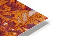 Desert Sunshine 290 HD Metal print