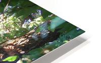Beautiful Fall Green Trees 3 HD Metal print
