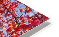Crabapple Tree 3 HD Metal print