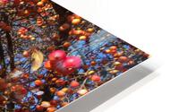 Crabapple Tree 5 HD Metal print
