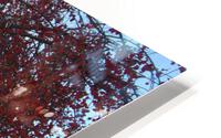 Crabapple Tree 6 HD Metal print