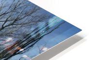 Lost River Winter Trees 2 HD Metal print