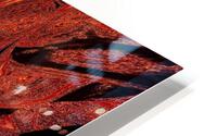 Mojave Sands 38 HD Metal print