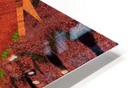 Tribal Sand 39 HD Metal print