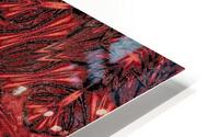 Ancient Dreams 101 HD Metal print