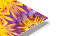 Northern Star HD Metal print
