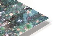 Mountain Pine 1 HD Metal print