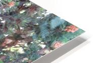 Mountain Pine 2 HD Metal print