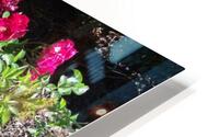 Drift Roses 1 HD Metal print