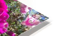 Flower Baskets 1 HD Metal print