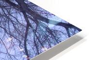 Tulelake Winter Tree 3 HD Metal print