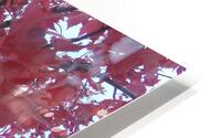 Maple Leaves 2 HD Metal print