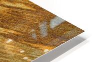 Sand Butterfly 13 HD Metal print