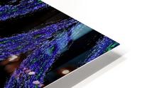 Hidden Butterfly 3 HD Metal print