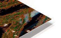 Hidden Butterfly 2 HD Metal print