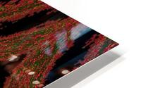Hidden Butterfly 4 HD Metal print