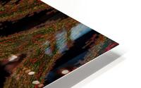 Hidden Butterfly 6 HD Metal print