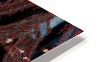 Hidden Butterfly 5 HD Metal print